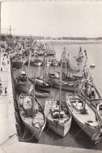 BF25861 royan pontaillac ch m bateaux dans le port shi  france  front/back image