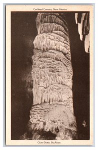 Great Dome Big Room Carlsbad Caverns Carlsbad New Mexico NM UNP WB Postcard N24