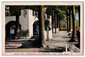 1941 Beautiful Walks at Wonderland Thames River London Ontario Canada Postcard