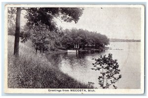 c1910 Scenic View Lake Trees River Greetings From Mecosta Michigan MI Postcard