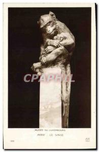 Postcard Old Monkey Musee du Luxembourg Paris Marx