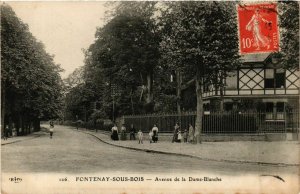 CPA FONTENAY-sous-BOIS Avenue de la Dame-Blanche (869462)