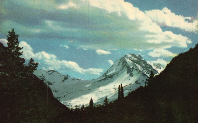 Vintage Postcard Mount Jackson & Glacier National Park Montana Hugh Black & West
