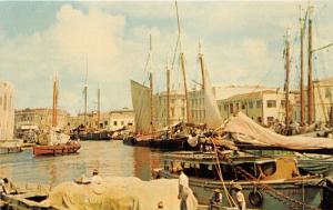 Bridgetown Barbados~The Careenage Marina~Lots of Sailboats~c1950s Postcard