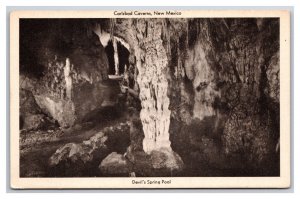 Devil's Spring Pool Carlsbad Caverns New Mexico NM UNP WB Postcard N25