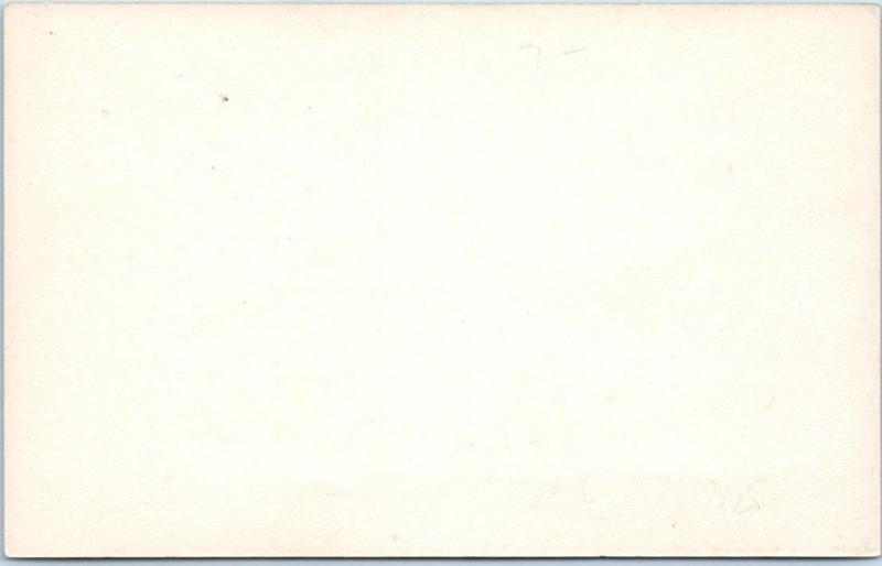 RPPC  ST. PAUL, Minnesota MN  Advertising HL COLLINS CO.  Pretty Girl Blank Back 