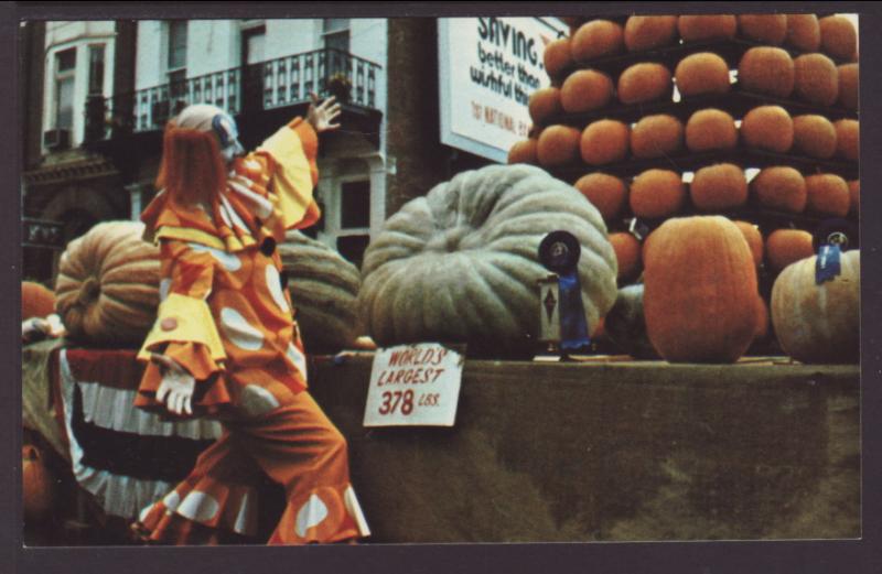 Jingles the Clown,Pumpkin Show,Circleville,OH Postcard