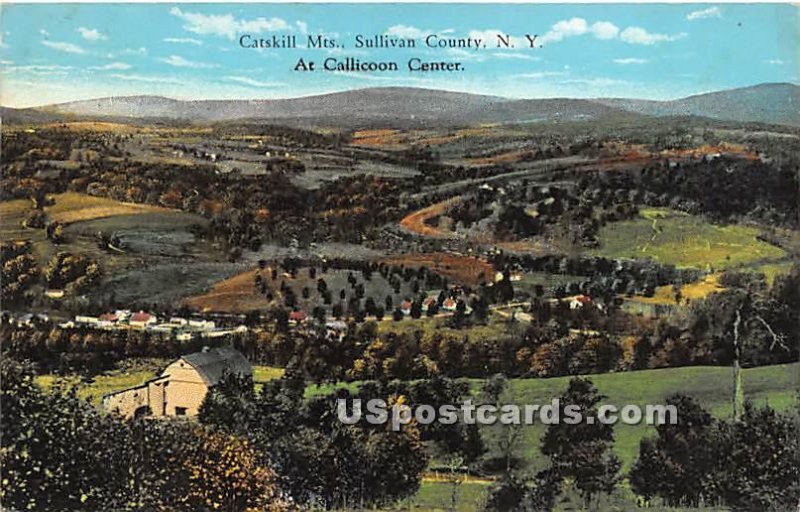 Catskill Mountains - Callicoon Center, New York NY  