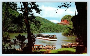 WAILUA, HAWAII ~ MOTOR BOAT at FERN GROTTO ~   c1960s  Postcard