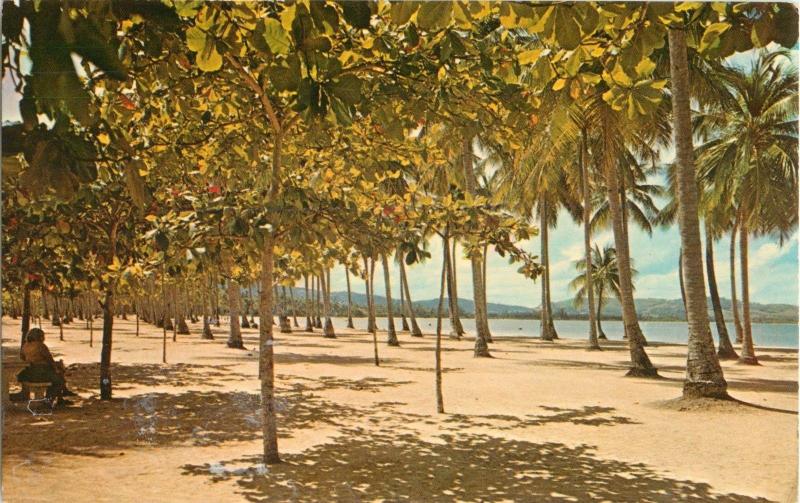 Postcard Luquillo Beach, Puerto Rico 1970's A27