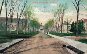 Canada McGill University Montreal Quebec Vintage Postcard 07.86