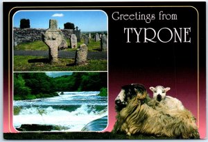 Postcard - Greetings From County Tyrone, Northern Ireland