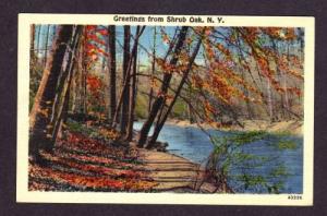 NY Greetings from SHRUB OAK NEW YORK Linen PC Postcard