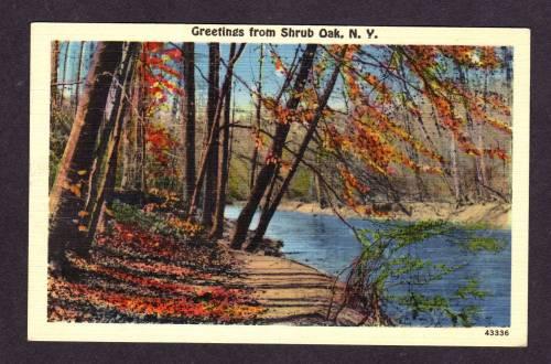 NY Greetings from SHRUB OAK NEW YORK Linen PC Postcard