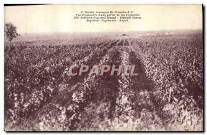 Postcard Old Wine Harvest Grandin & Co View of & # 39ensemble d & # 39A of vi...