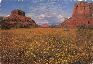 B53218 Sedona Arizona Bell and Cathedral Rocks  usa