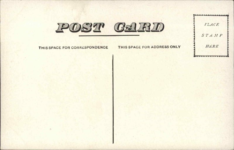 Freehold New York NY Birdseye View c1910 Postcard