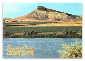 Snake River Lizard Butte Idaho Continental View Postcard