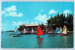 Paget Bermuda Postcard Sunfish Sailboats Show Off Gaily Coloured Sails c1950's