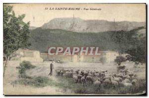 Old Postcard La Sainte Baume Vue Generale Sheep