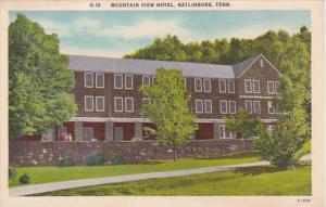 Tennessee Gatlinburg Mountain View Hotel