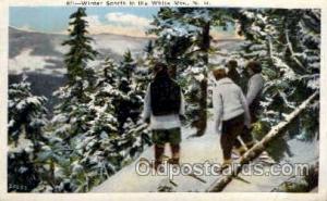 Snow Shoe, White Mountains of New Hampshire USA, Winter Sports Postcard Postc...