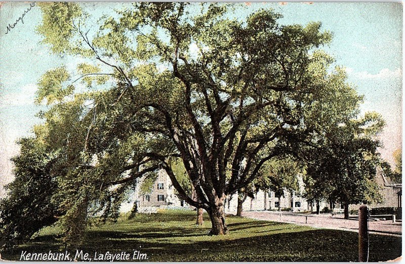 Postcard HOUSE SCENE Kennebunkport Maine ME AI3129