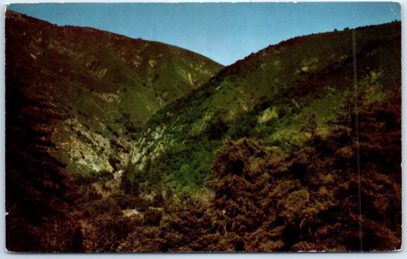 M-60632 The Santa Lucia Mountains and the sycamore grove Big Sur California