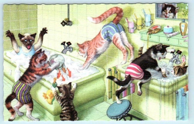 MAINZER DRESSED CATS & Kittens BATHROOM & BATHTUB Chaos  #4971 Belgium Postcard 