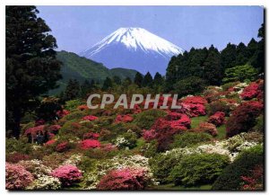 Modern Postcard Mount Fuji in early spring