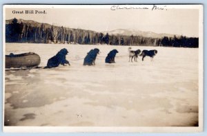 1916 RPPC GREAT HILL POND DOG SLED TEAM NEW HAMPSHIRE ANTIQUE PHOTO POSTCARD