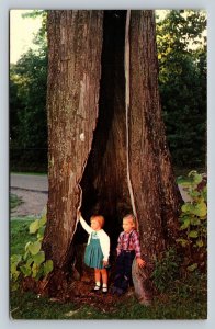 Children Standing at the Big Lynn Tree In North Carolina Vintage Postcard 0852