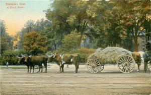 CT, Middletown, Connecticut, Street Scene, Bulls Pulling Hay, Hugh C. Leighton