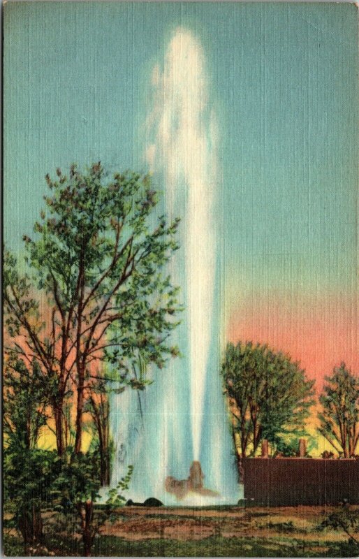 US LINEN POSTCARD LARGEST ARTESIAN WELL IN WORLD OASIS RANCH ROSWELL NEW MEXICO