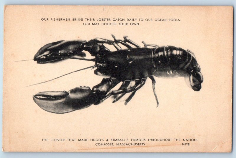 Cohasset Massachusetts Postcard Hugo Kimball Lobster 1940 Vintage Antique Posted