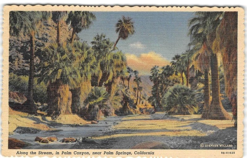 Along the Stream PALM CANYON Palm Springs, CA Willard 1940s Vintage Postcard