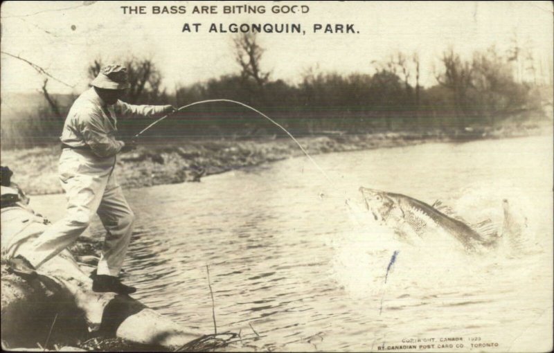 Algonquin Park Ontario Fishing Exaggeration c1920 Real Photo Postcard