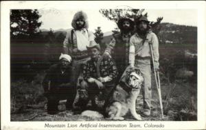 Humor - Mountain Lion Artificial Insemination Team Colorado Postcard