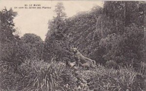 France Le Mans Un coin s Jardin des Plantes