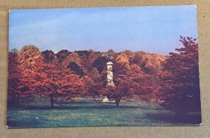 UNUSED POSTCARD - AUTUMN AT VALLEY FORGE, PA.