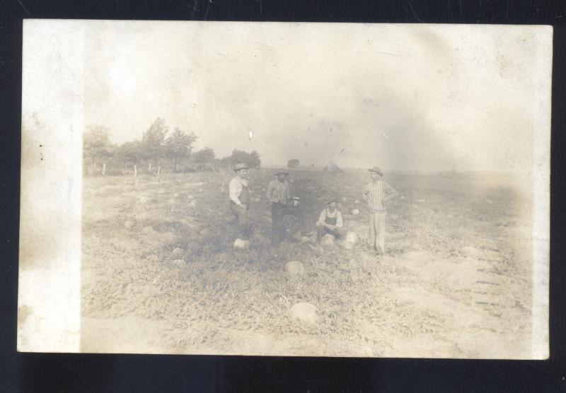 RPPC BEARDSTOWN ILLINOIS PUMPKIN FARM FARMING BUSHNELL ILL REAL PHOTO POSTCARD