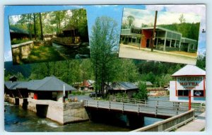 GATLINBURG, Tennessee TN ~ Roadside TWIN ISLAND MOTEL Ogles Cafe 1956 Postcard