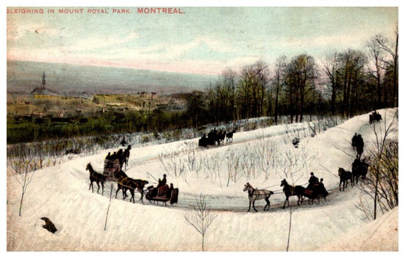 Canada Montreal Sleighing in Mount Royal Park