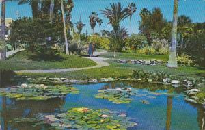 Lily Pond in Riverfront Park Daytona Florida 1960