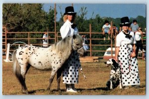 1960 Brenham Texas TX Vintage Postcard Monastery Miniature Horses Mini Horse Dog