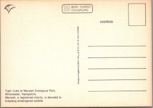 Animals Postcard - Tiger Cubs, Marwell Zoological Park, Unused  RR22397