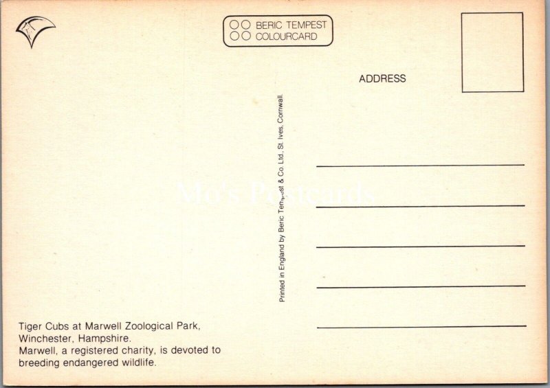 Animals Postcard - Tiger Cubs, Marwell Zoological Park, Unused  RR22397