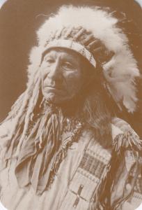 Sioux Chief Old West Red Indian American Cowboy Horse Western Postcard
