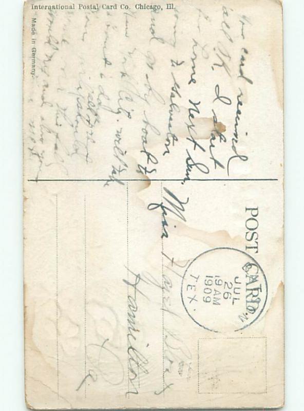 Divided-Back BIRDS SCENE Pretty Postcard AA8837