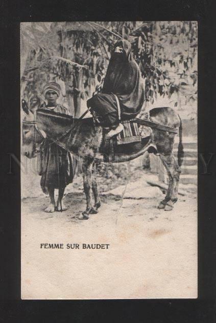 070148 Egypt girl in yashmak DONKEY Drivers Vintage